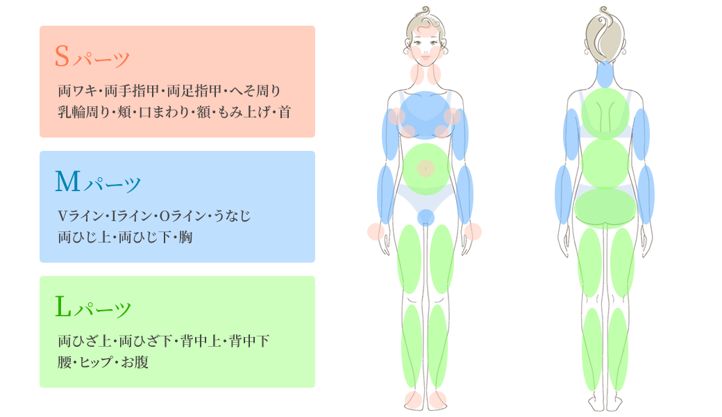 脱毛メニュー（パーツ案内）