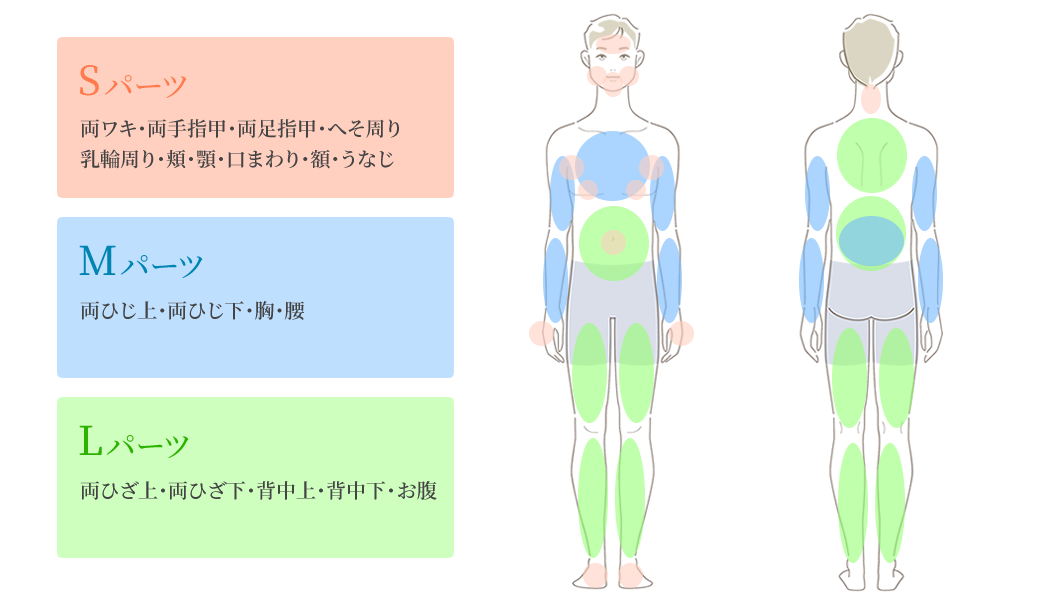 MENS脱毛メニュー（パーツ案内）